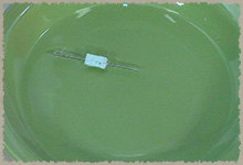 Colocando la aguja dentro del plato con agua